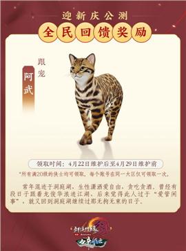 天龙八部私服龙影